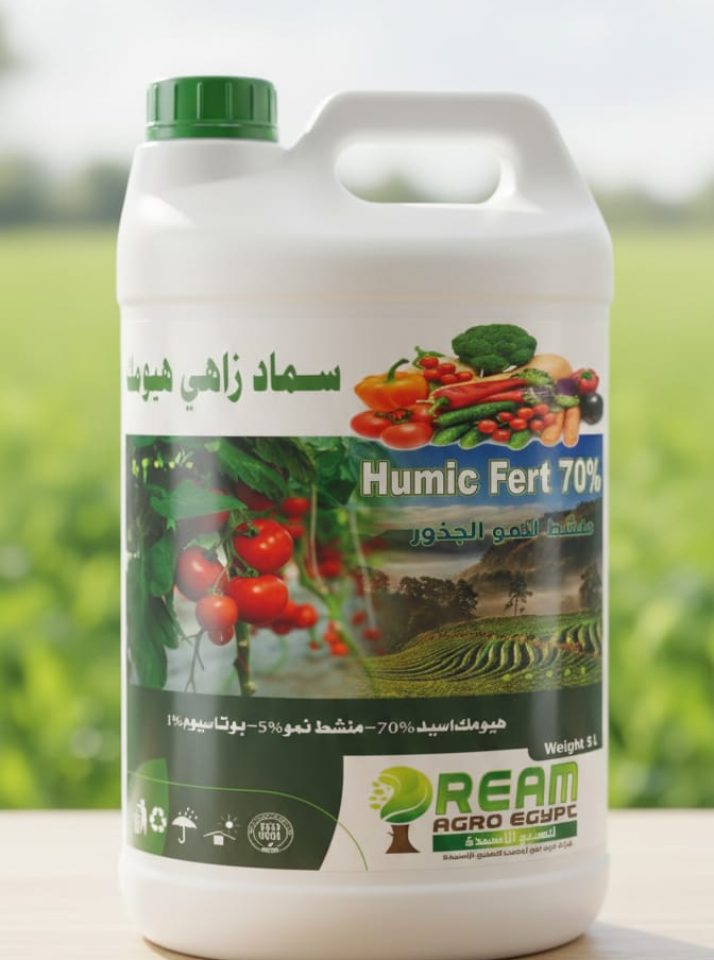 WhatsApp Image 2026-01-17 at 00.26.51